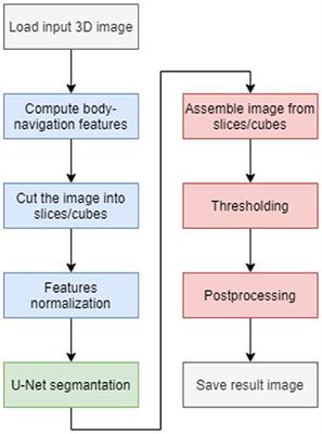 Why Use Position Features in Liver Segmentation Performed by Convolutional Neural Network